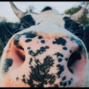 Meet your Posher, Chloe